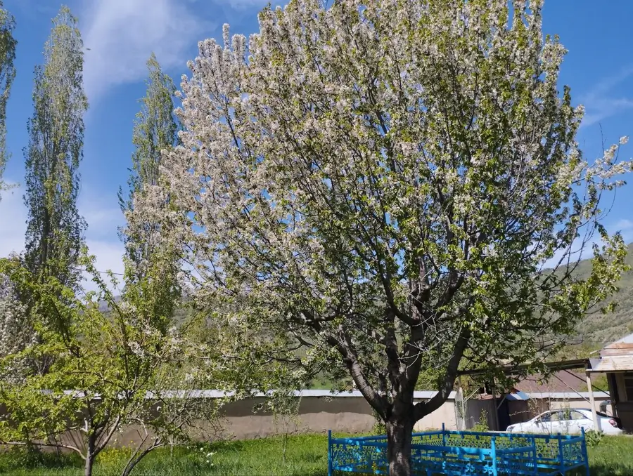 Продается 1-этажный дом − 112.8 м²