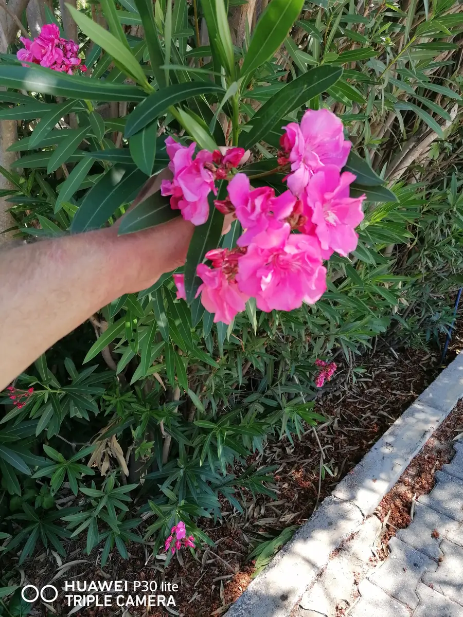 2 xonali kvartira − 47 m², 2/3 qavat