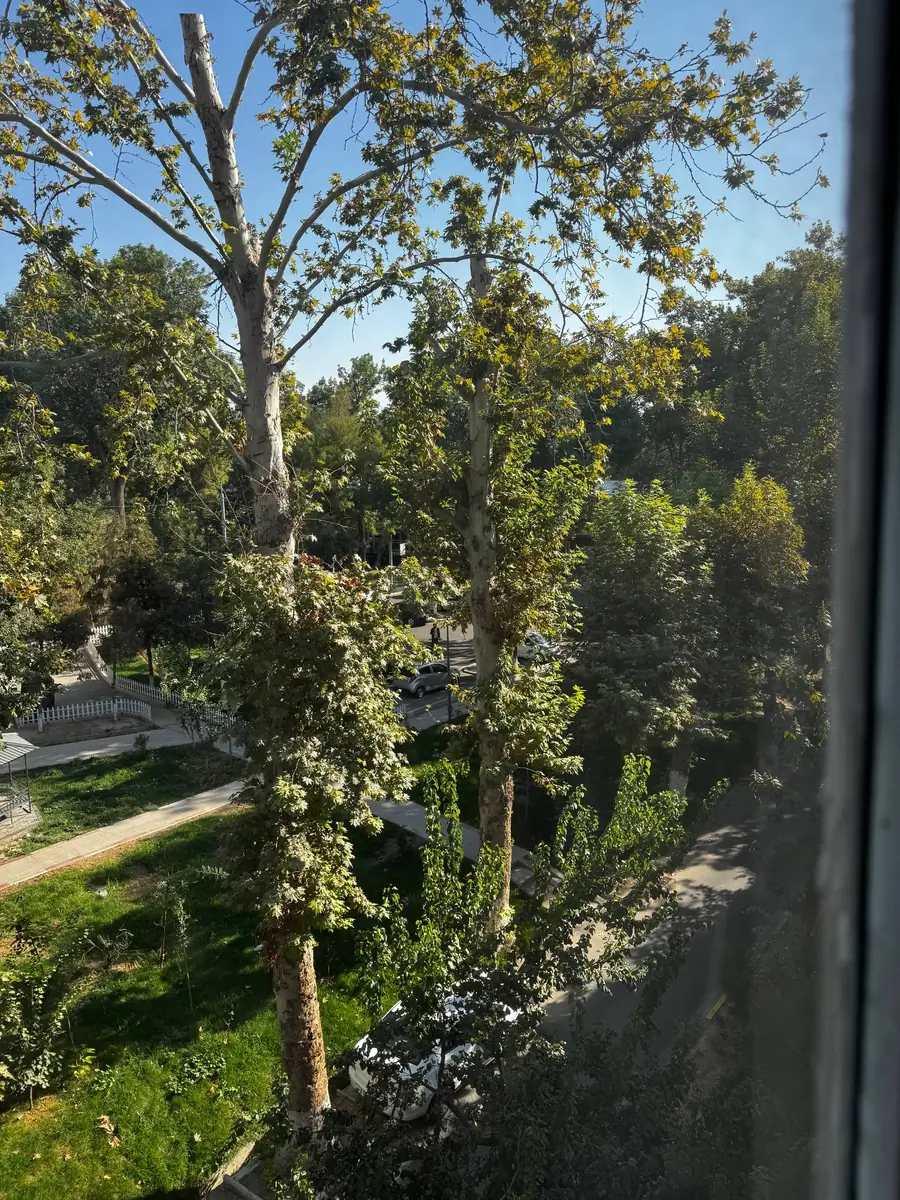 3 xonali kvartira − 63 m², 4/4 qavat