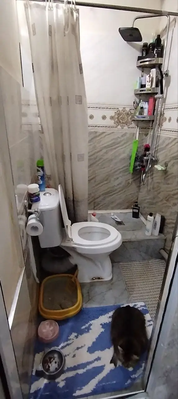 1 xonali kvartira sotiladi − 42 m²