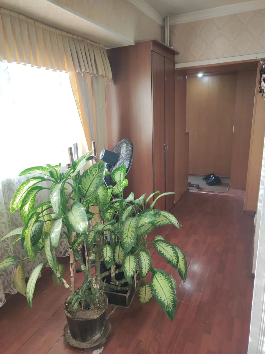 Более 5 xonali kvartira sotiladi − 116 m²