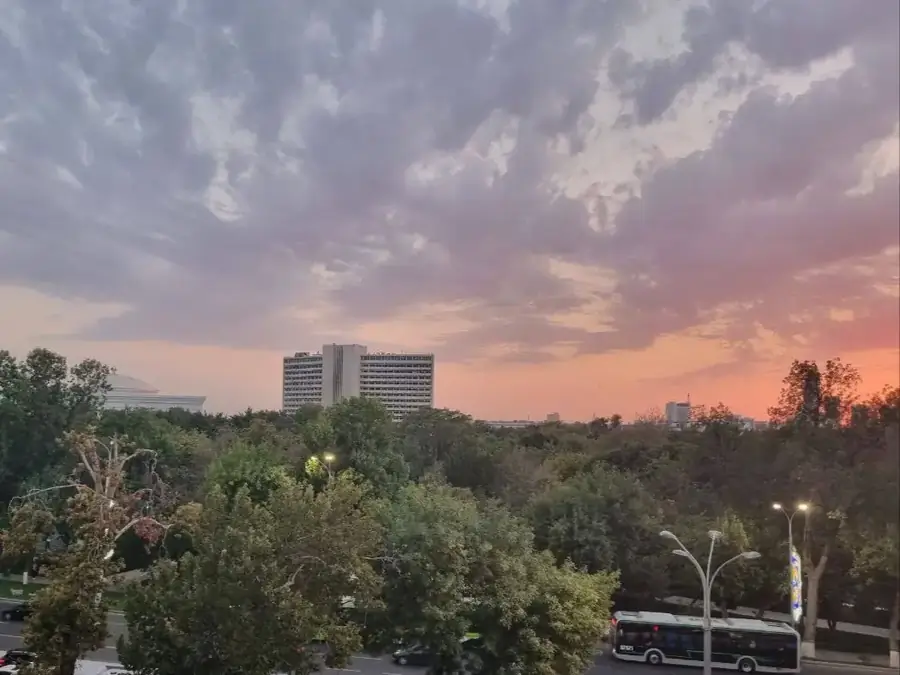 Более 5 xonali kvartira sotiladi − 116 m²