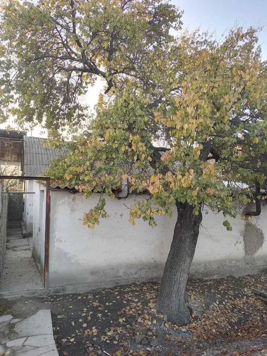 1 qavatli uy − 120 m², 500 sot. 