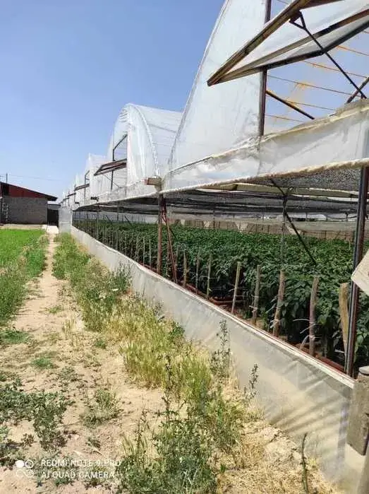 1 qavatli uy − 30 m², 999 sot. 