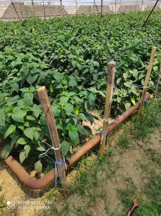 1 qavatli uy − 30 m², 999 sot. 