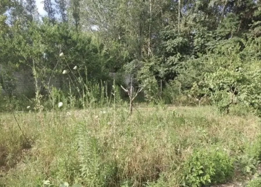 Yer uchastkasi − 6 sot.