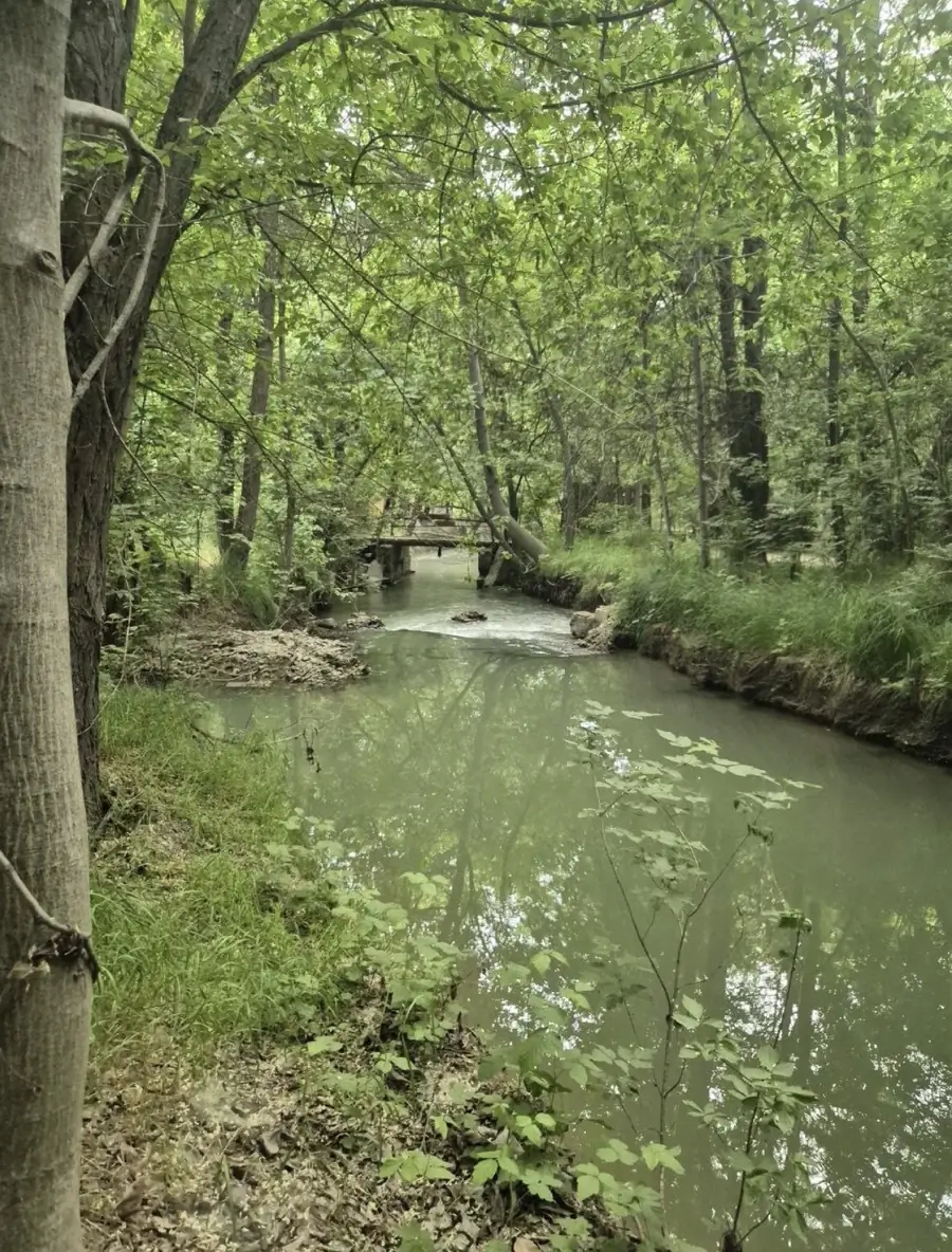 Yer uchastkasi − 6 sot.