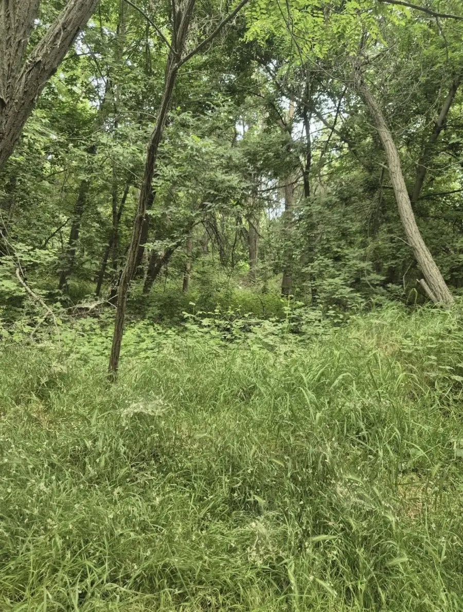 Yer uchastkasi − 6 sot.