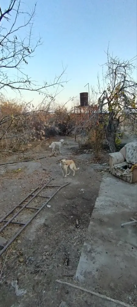 Yer uchastkasi − 9 sot.