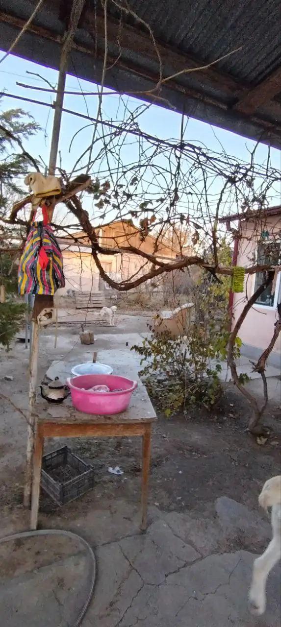 Yer uchastkasi sotiladi − 9 sot.