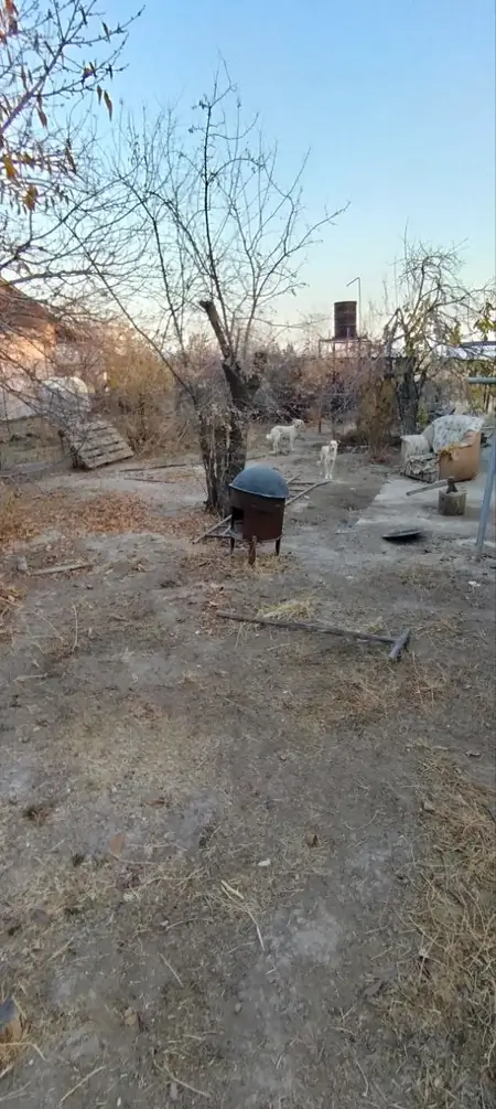 Yer uchastkasi − 9 sot.