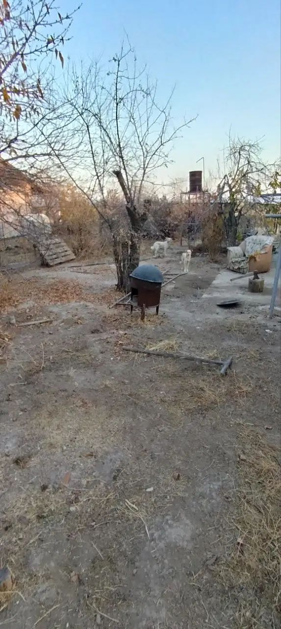 Yer uchastkasi − 9 sot.