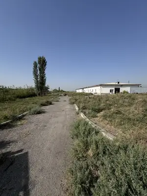 Tijoriy yer maydoni sotiladi − 980 sot