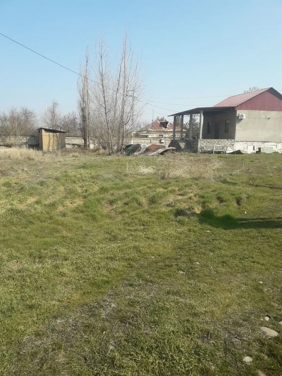 Tijoriy yer maydoni sotiladi − 37 sot