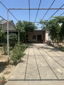 Участок − 5 сот.