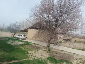 1 qavatli uy − 200 m², 30 sot.