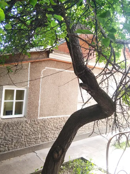 1 qavatli uy − 180 m², 7 sot. 