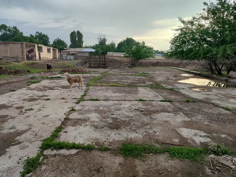 Tijoriy yer maydoni sotiladi − 86 sot