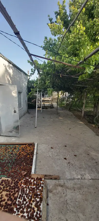 1 qavatli uy sotiladi − 40 m²