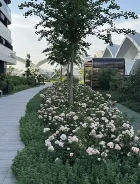 Сдается 1-комнатная квартира − 41 м²