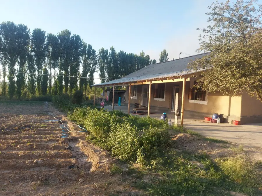 1 qavatli uy sotiladi − 200 m²