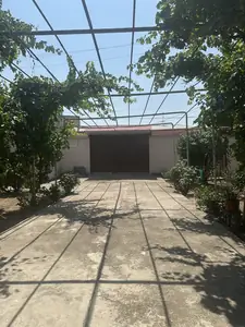 Участок − 5 сот.