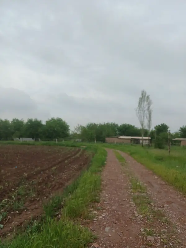Участок − 64 сот.