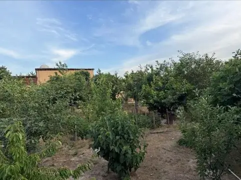 Yer uchastkasi − 19.9 sot.