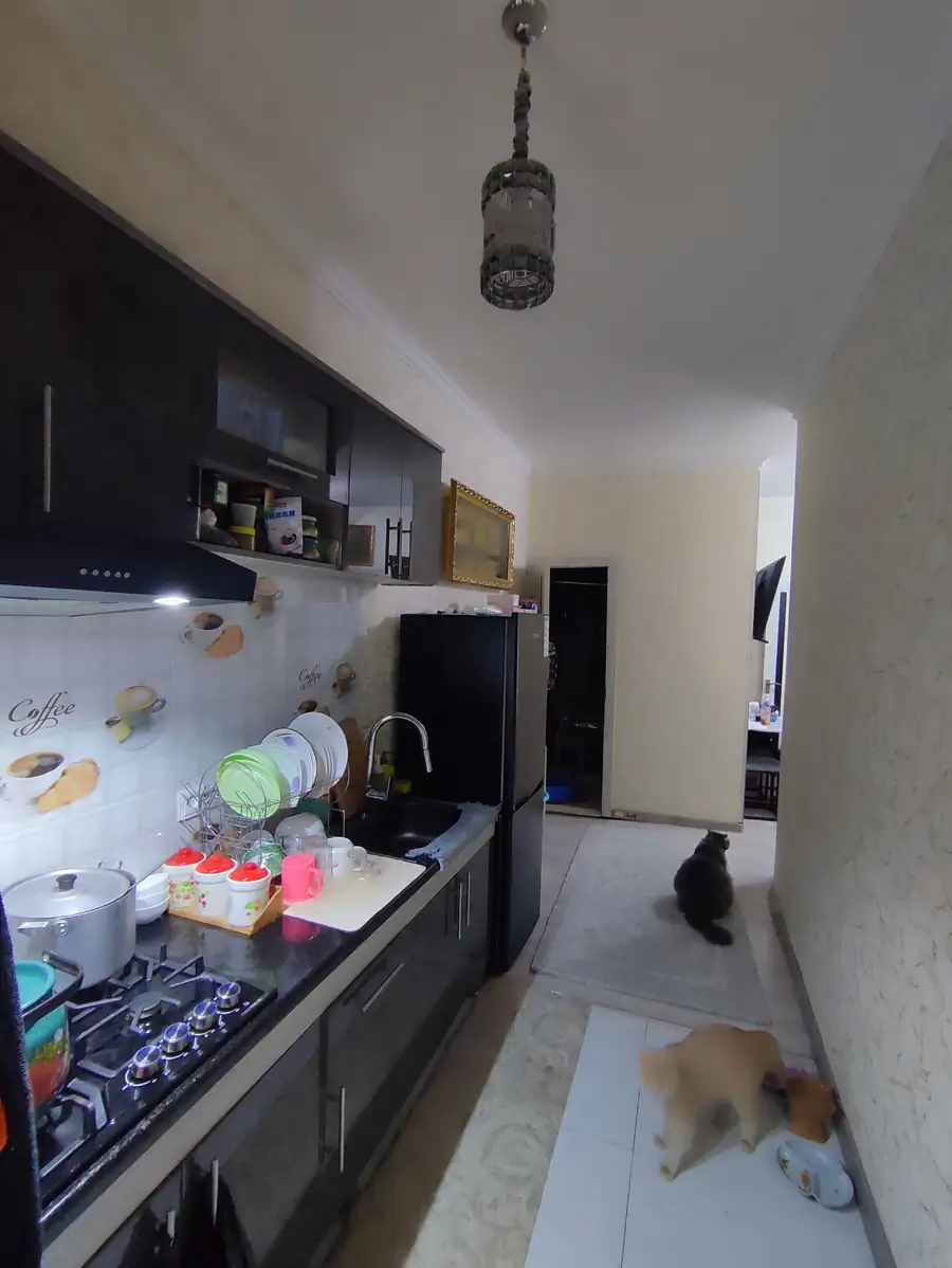 1 qavatli uy sotiladi − 40.4 m²