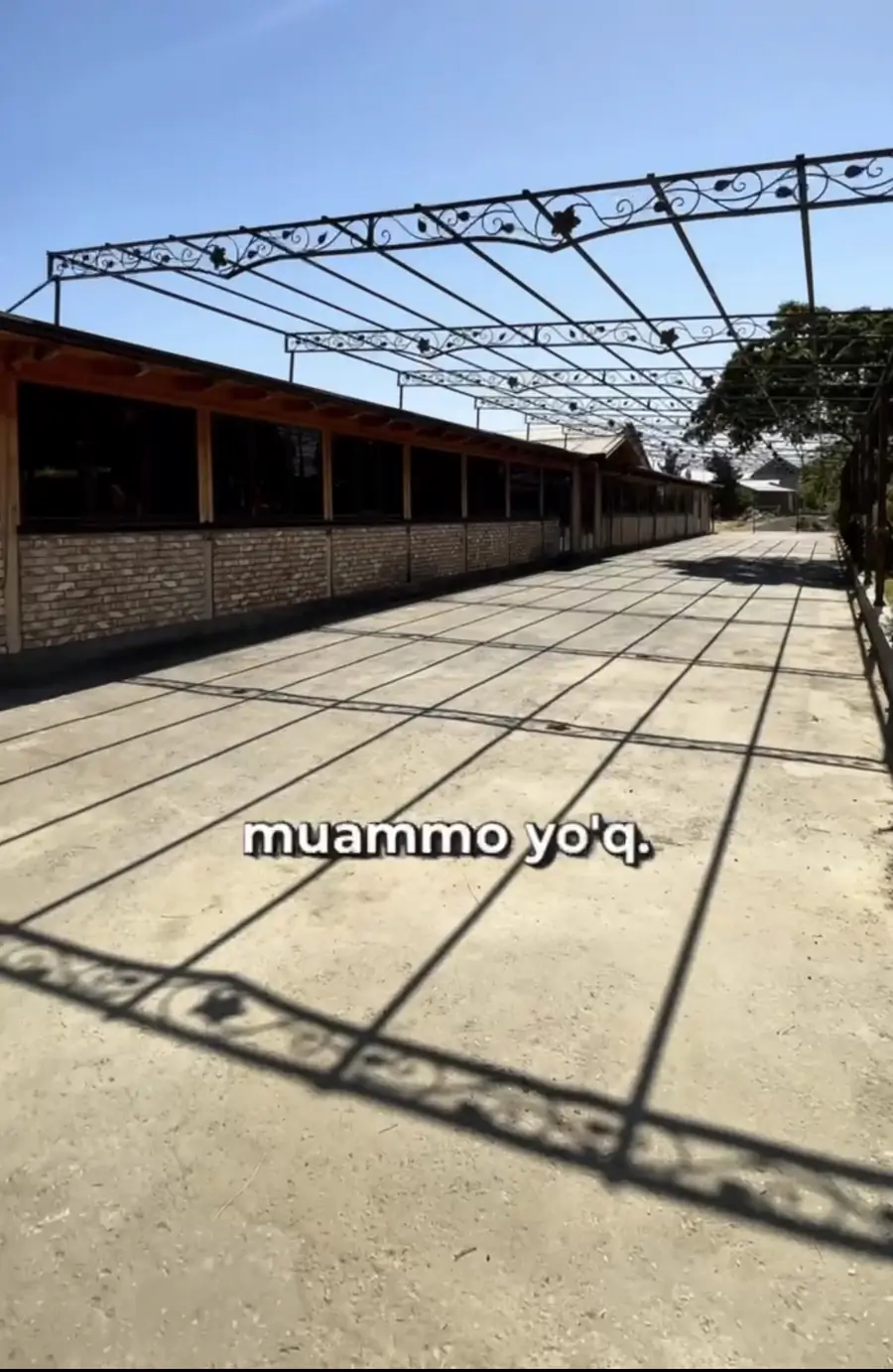 Yer uchastkasi sotiladi − 81 sot.
