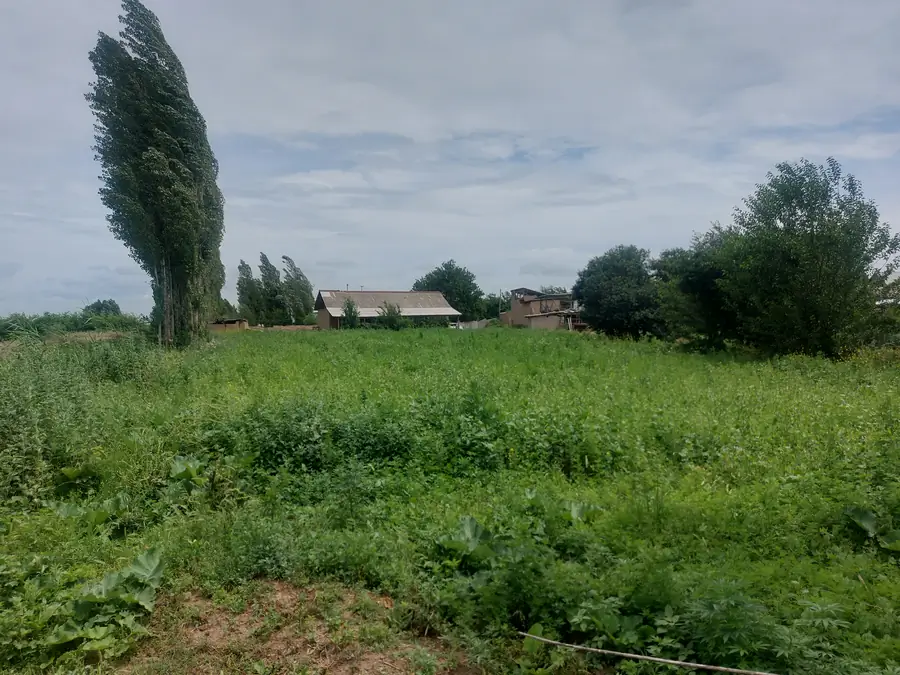 1 qavatli uy sotiladi − 200 m²