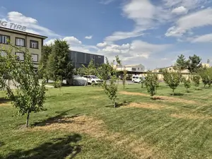 Ijaraga ofis − 145 m²