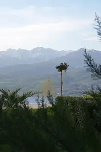 4 qavatli uy − 650 m², 15 sot. 