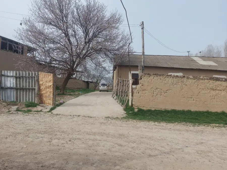 1 qavatli uy sotiladi − 200 m²