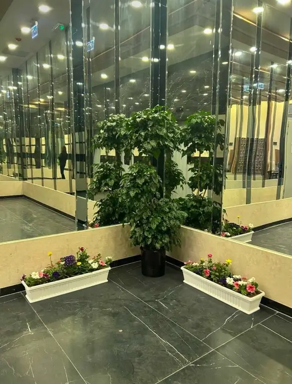 2 xonali kvartira − 50 m², 18/25 qavat
