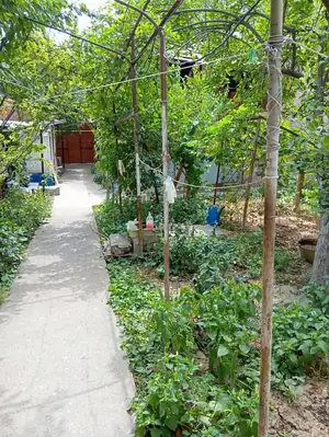 1 qavatli uy sotiladi − 100 m²