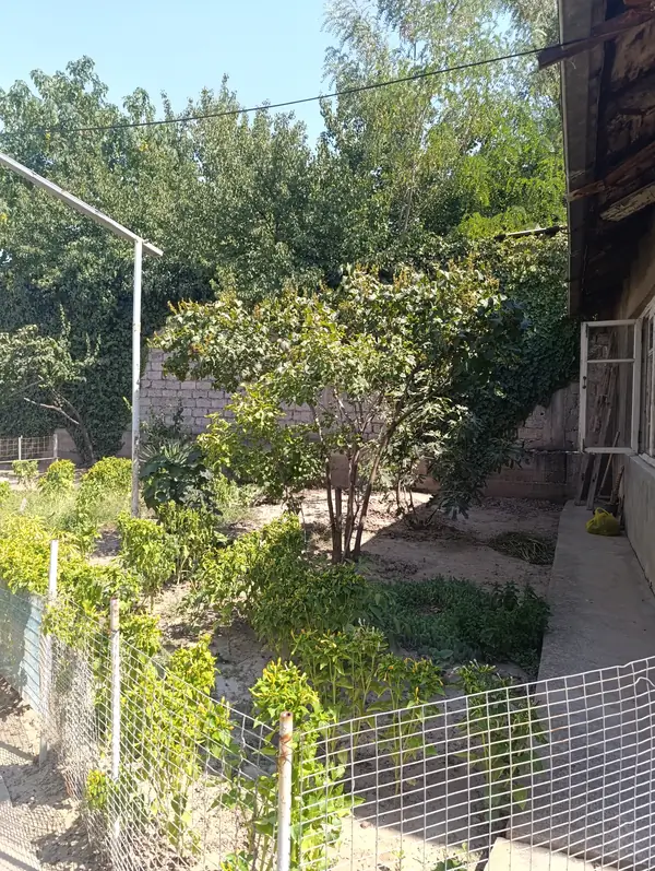1 qavatli uy sotiladi − 308 m²