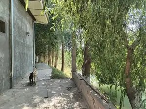Ishlab chiqarish − 23400 m², 1/2 qavat 
