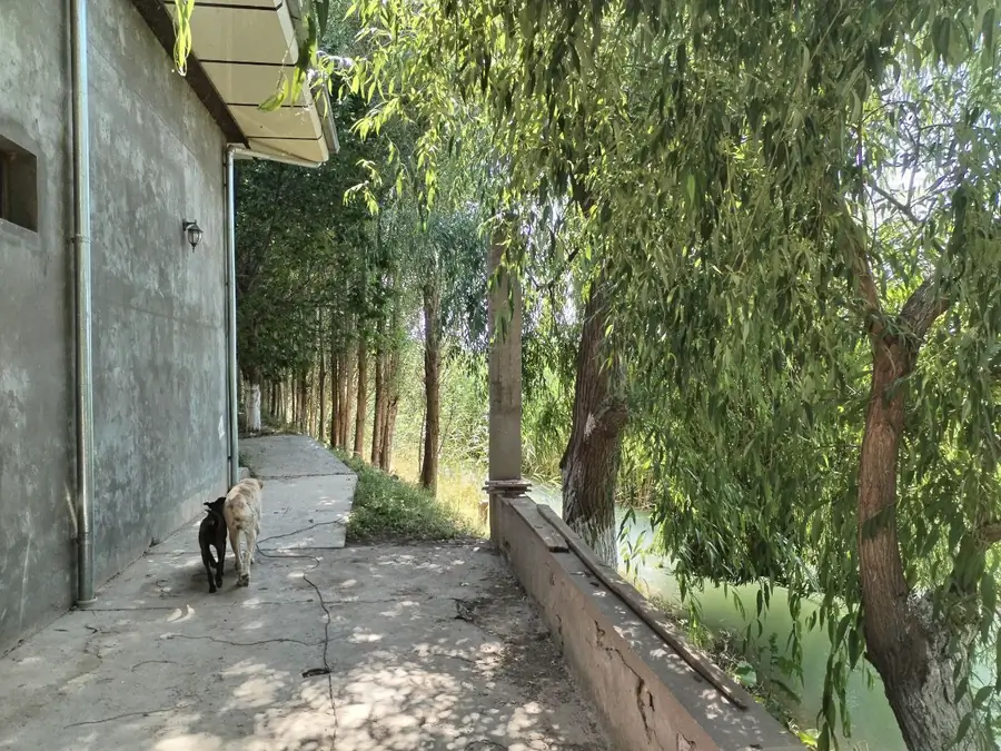 Ishlab chiqarish sotiladi − 23400 m² 