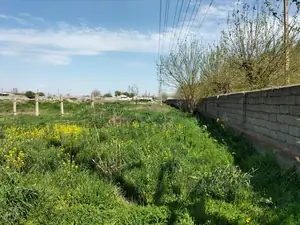 Tijoriy yer maydoni − 1000 sot