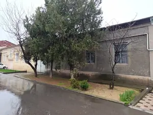 1 qavatli uy sotiladi − 180 m²