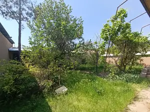 1 qavatli uy sotiladi − 180 m²