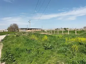 Tijoriy yer maydoni − 1000 sot