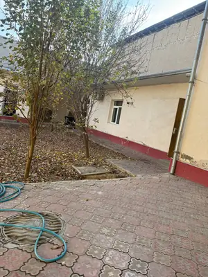 1 qavatli uy − 300 m², 6 sot.