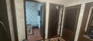 2 xonali kvartira − 55 m², 1/2 qavat