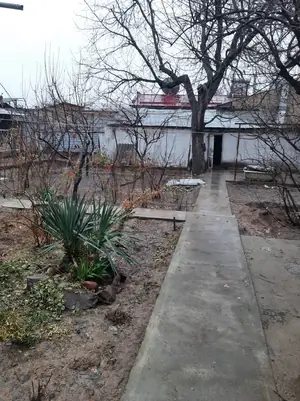 1 qavatli uy − 876 m², 8.7 sot. 