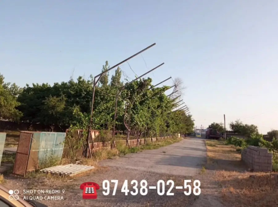 Tijoriy yer maydoni sotiladi − 97 sot